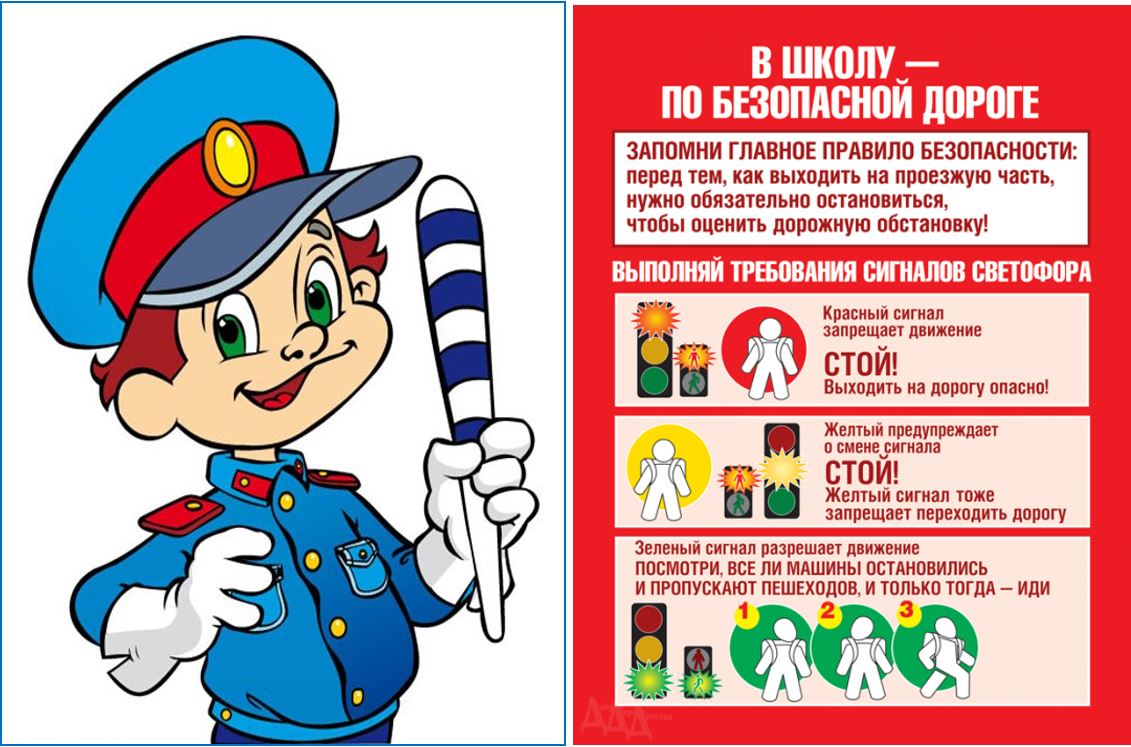 Дорога безопасности.